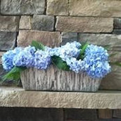 Kathi Carfrey's photo