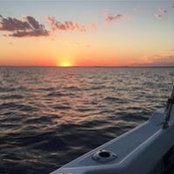 Sandra Tauckus's photo