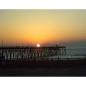Terry Messick's photo
