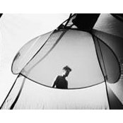 Andrew White's photo