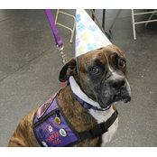 Mark Hoenig's photo