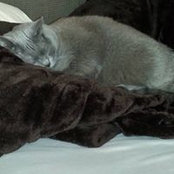 Merry-Anne Kowalchuk's photo