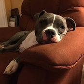 Debbie Miller's photo