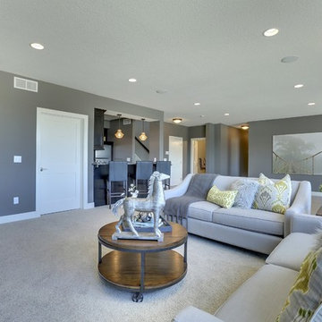 Transitional Family Room