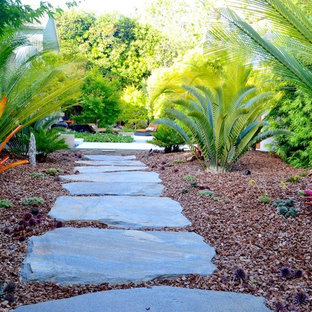 Inspiration for a mid-sized tropical backyard xeriscape in Los Angeles with natural stone pavers and with path.