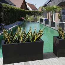 Planter Boxes