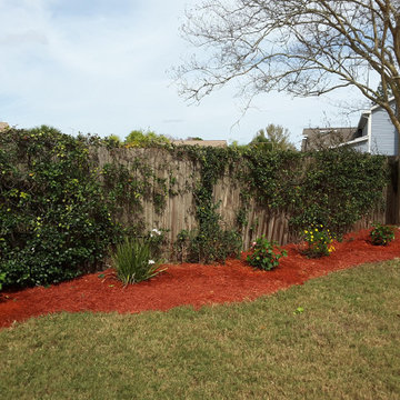 Landscape Cleanup and Refreshment 2.11.20