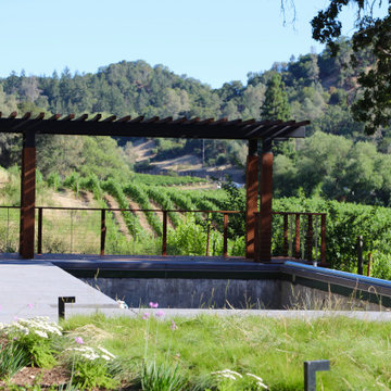 Poolside Rendezvous in Wine Country, Healdsburg