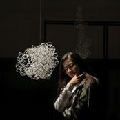 Zhen Huangさんの写真