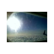 Dixie Longhaul's photo