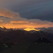 Cameron Brown's photo