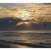 Nancy Leners's photo