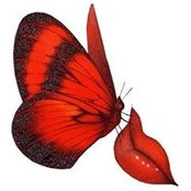Pat Johnson-Clough's photo