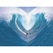 Anneliese Barron's photo
