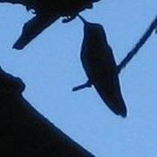 Jill R's photo