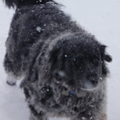 Vicki Anderson's photo