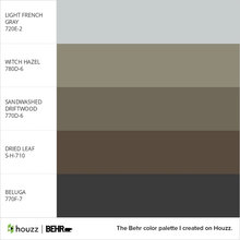 Paint Color