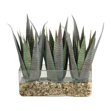 artificial plants