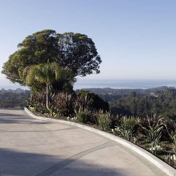 Custom Concrete Driveway