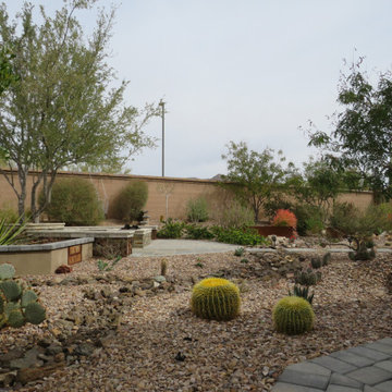 Modern Backyard Landscape - Mesa, AZ