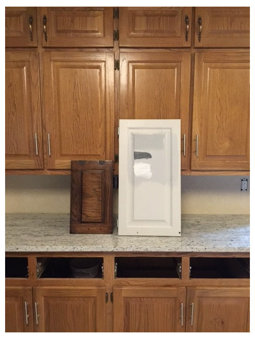 Kitchen Update Question