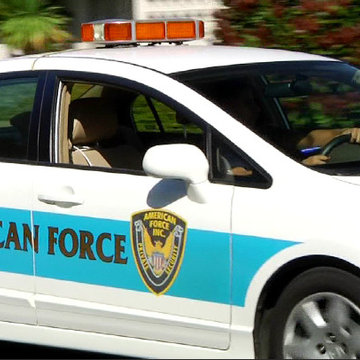 Private Security Service