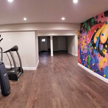 New Finished Basement-Cold Spring Harbor