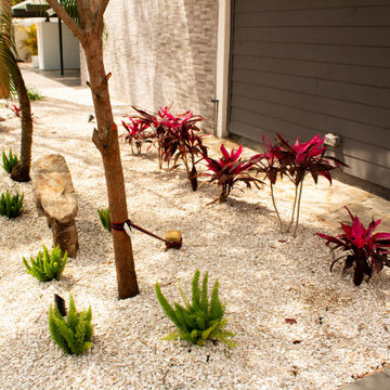 Tropical Design & Installation - South St. Petersburg