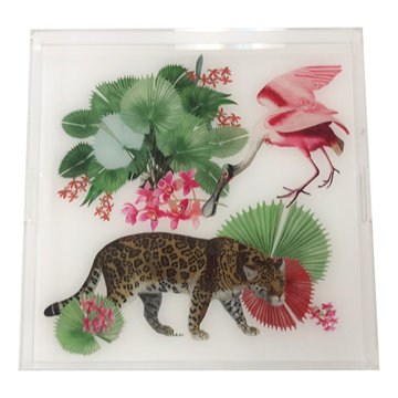 Acrylic Trays