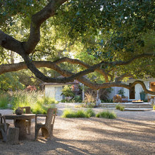 Backyards