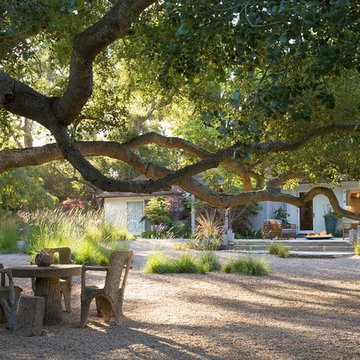 LotusLand South aka Sycamore  Canyon Landscape