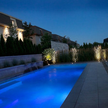 Contemporary garden