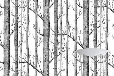 Birch Tree Wallpaper by Cole & Sons