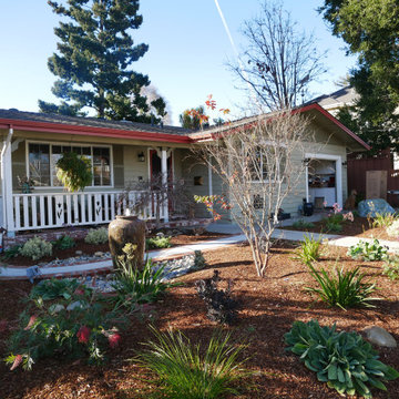 Los Gatos front yard