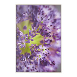 ALLIUM WALL ART &ndash; PETALS - Products