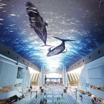 Stretch Ceiling and Other Lighting Systems