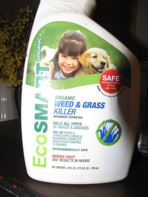 Warning Do Not Use Ecosmart Grass Weed Killer,Unstuffed Cabbage Rolls Recipe