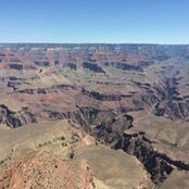 Jeff Koenig's photo