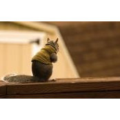 Dale Gordon's photo