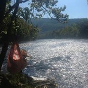 Dan Saviteer's photo