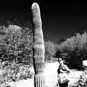 Nancy Hauer's photo