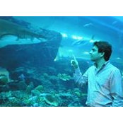 Alain Rouphael's photo