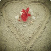 Lucy Graham's photo