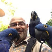 Vincent Carbajal's photo