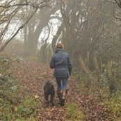 Louisa Bird's photo