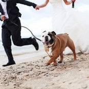 Marissa Kavois's photo