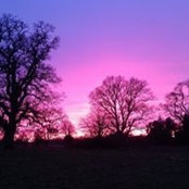 Susan O'Neill's photo