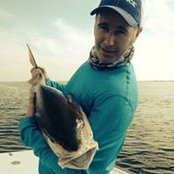 Paul Baileys billede