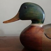 Barry Ness's photo