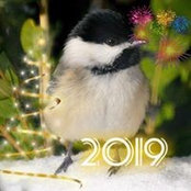 Catherine Zeigler's photo